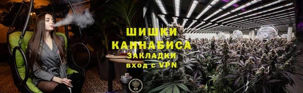 амф Алексин