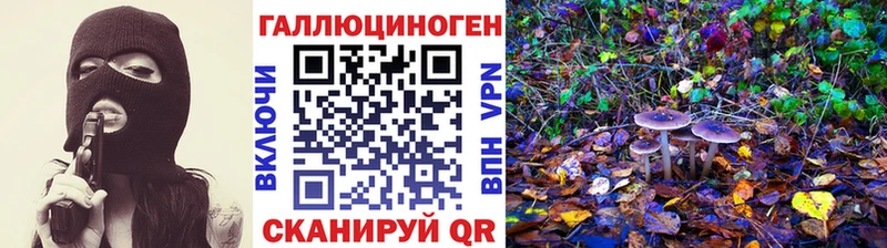 даркнет как зайти  Мичуринск  Галлюциногенные грибы Psilocybe 